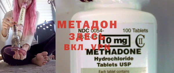 прущие грибы Осташков