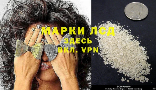 прущие грибы Осташков
