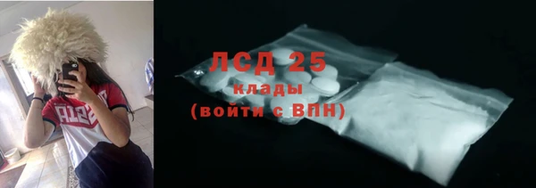 прущие грибы Осташков