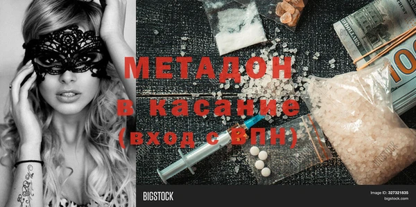 прущие грибы Осташков