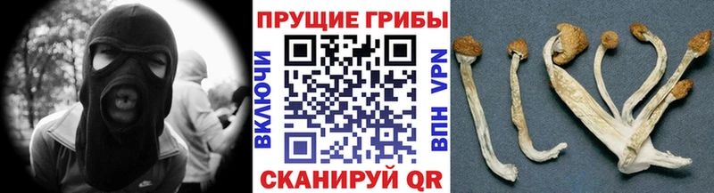 Псилоцибиновые грибы MAGIC MUSHROOMS  Берёзовский 